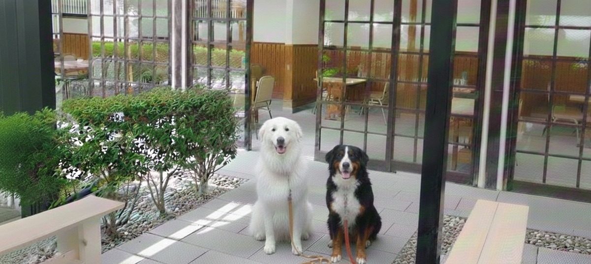 設備・サービス